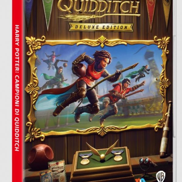 HARRY POTTER CAMPIONI DI QUIDDITCH